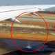 Illustration for article titled Passenger Snaps Photo of Fuel Pouring Out of a Dreamliners Wing